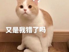 -亞力山大会馆(华腾园店)
