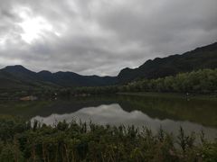 -后柳水乡
