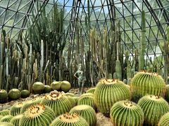 -深圳仙湖植物园