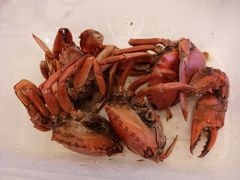 -莲花公园煎蟹(总店)