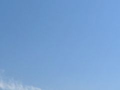 -上海月湖雕塑公园