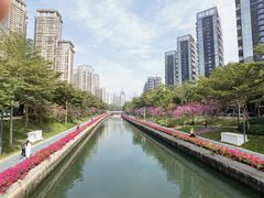 -食其家·牛丼咖喱(湾厦店)