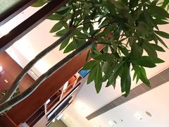 -郑州新郑国际机场T2航站楼-贵宾厅B区