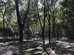 -后襄河公园