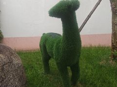 -龙大花卉苗木市场