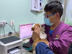 -A猫a狗全科·犬猫异宠·芥西宠物医院(南开总院)