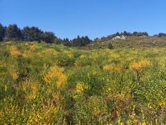 -白草畔自然风景区