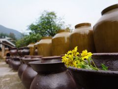 -远山有窑
