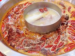 -谭鸭血老火锅(七宝万科广场店)