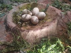 -湖南省地质博物馆