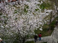 -龙美术馆(西岸馆)
