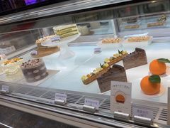 -TD66高山铁皮石斛养生茶饮