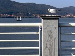 -海埂大坝