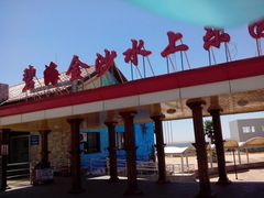 -碧海金沙