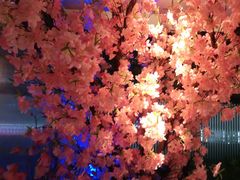 -野妹火锅(龙岗店)