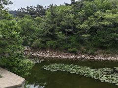 -大连金龙寺国家森林公园-售票处