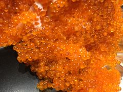 火山沙拉-魔丼屋(日月光店)
