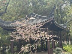 -范蠡湖公园