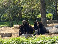 -北京野生动物园