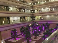 -南京禄口机场雅高铂尔曼大酒店