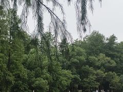 -东湖落雁景区
