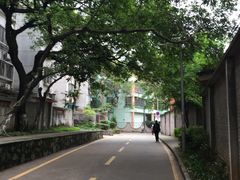 -中山大学学者灵芝(园南路店)