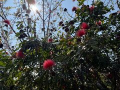 -优游吧斯邹族文化部落