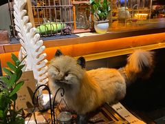 -杂咖zacup(领展中心城店)
