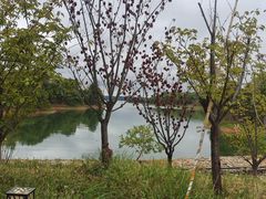 -中海·庐山西海君澜度假酒店·味屿全日制餐厅