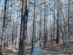 -白草畔自然风景区