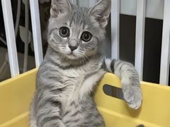 -秘密旅行Bonjour(黑金冠 江南西店)