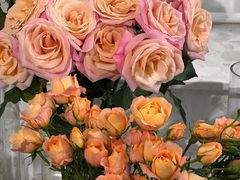 -Gigi Florist·Dk Coffee