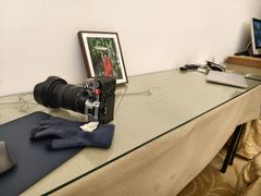 -南京东郊国宾馆