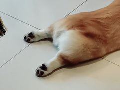-平行世界·猫咖(首经贸店)