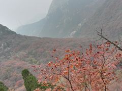 -石门坊