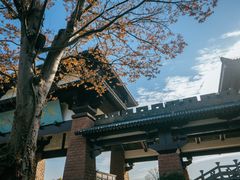 -白马涧龙池景区