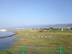 -青海湖国家重点风景名胜区