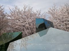 -龙美术馆(西岸馆)