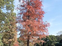 -松山湖南湖湾露营营地