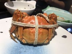 大闸蟹-淡尾·海鲜自助概念餐厅(虹桥南丰城店)