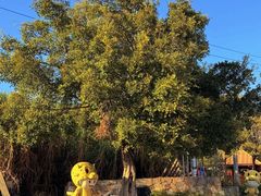 -双龙潭生态运动景区