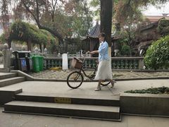 -碧江金楼