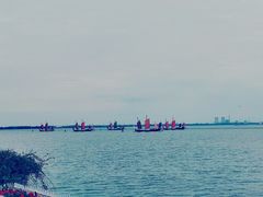 -贡湖湾湿地公园