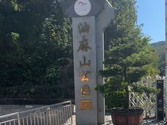 -黄埔油麻山森林公园