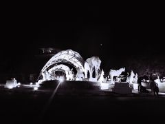 -清迈夜间动物园