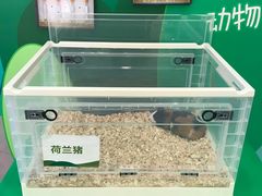 -奥园广场(广州番禺福德路店)