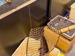 -九寨沟石锅鱼(沣峪口二十年店)
