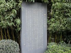 -大可堂普洱茶馆(襄阳南路馆)
