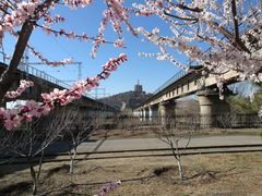 -永定河休闲森林公园