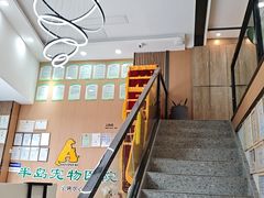 -半岛宠物医院24小时·内窥镜·牙科·碎石中心(府城大道店)